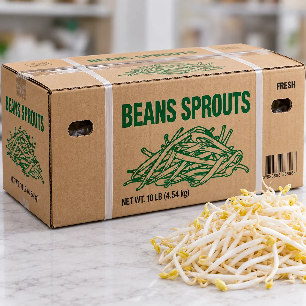 BEANS SPROUT Long Box 10 LB